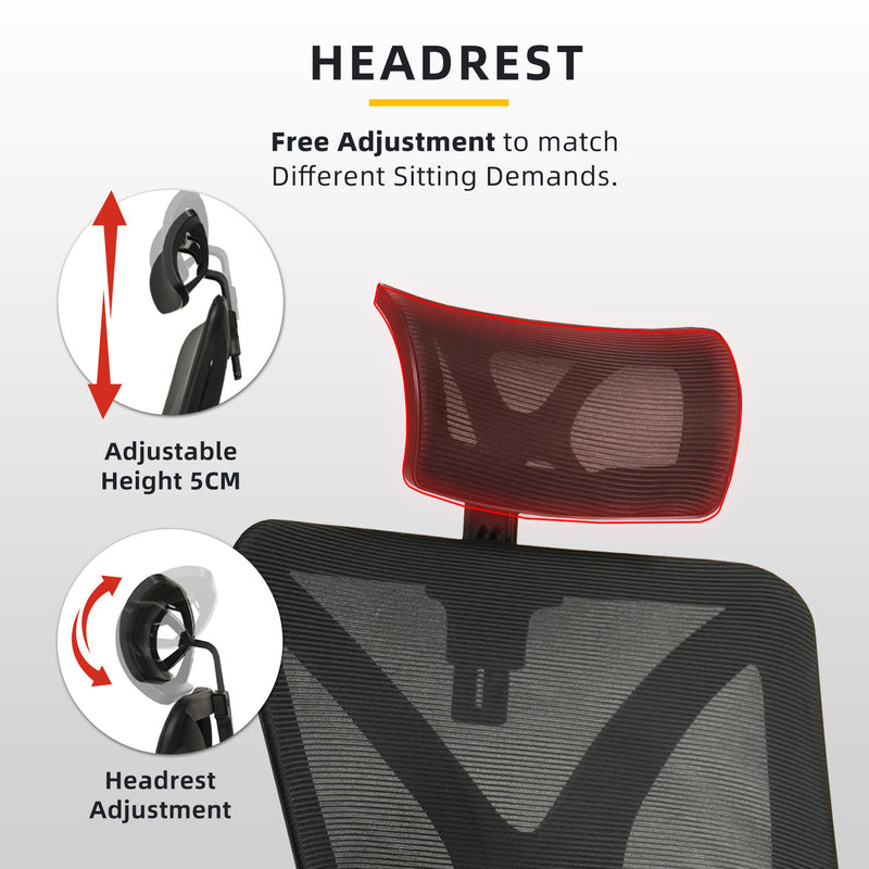 HomeZ Office Chair Ergonomic Chair Executive Mesh High back / Medium Back Chair/with legrest - Black
