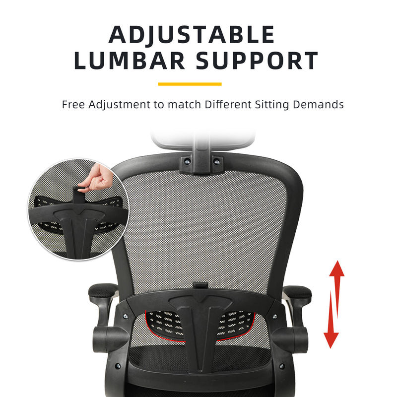 HomeZ Office Chair Ergonomic Chair Executive Mesh High back / Medium Back Chair/with legrest - Black