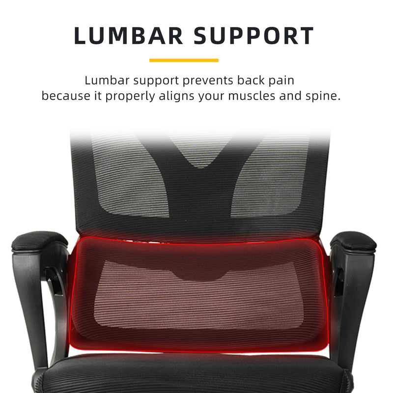 HomeZ Office Chair Ergonomic Chair Executive Mesh High back / Medium Back Chair/with legrest - Black