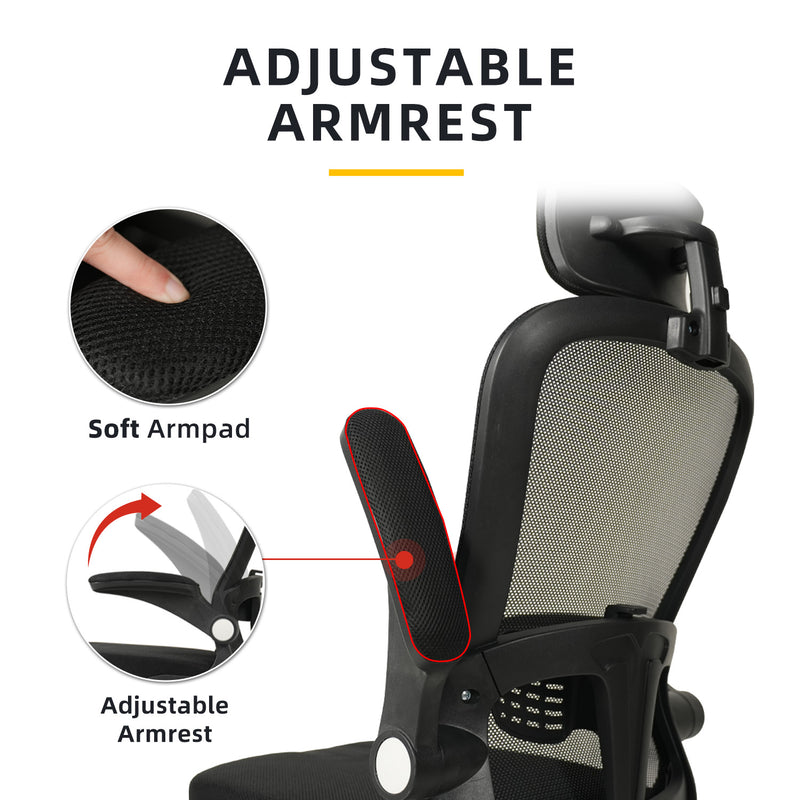 HomeZ Office Chair Ergonomic Chair Executive Mesh High back / Medium Back Chair/with legrest - Black