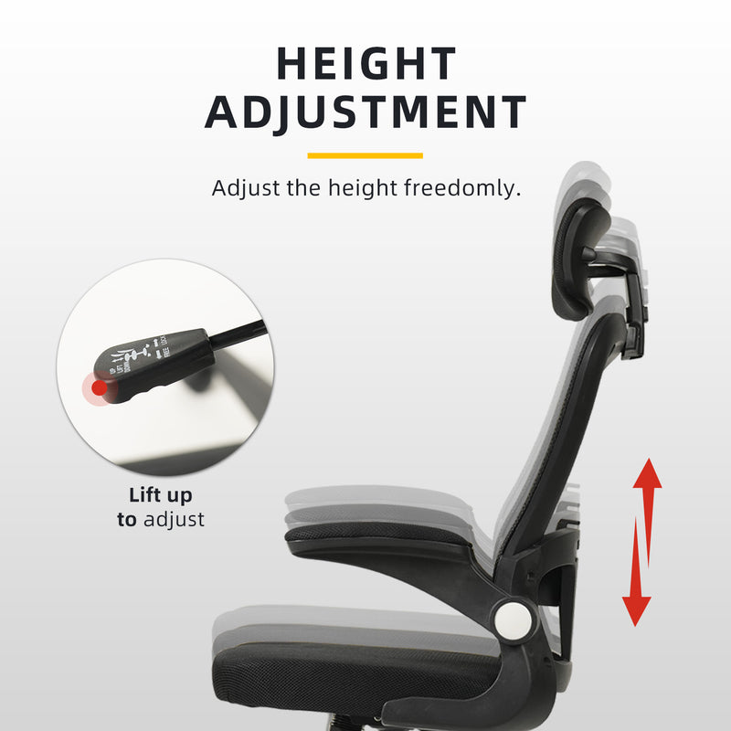 HomeZ Office Chair Ergonomic Chair Executive Mesh High back / Medium Back Chair/with legrest - Black