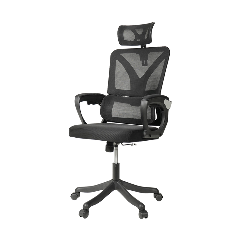 HomeZ Office Chair Ergonomic Chair Executive Mesh High back / Medium Back Chair/with legrest - Black