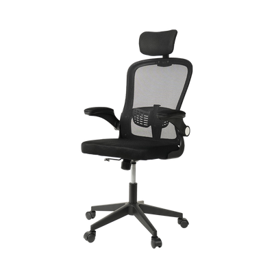 HomeZ Office Chair Ergonomic Chair Executive Mesh High back / Medium Back Chair/with legrest - Black