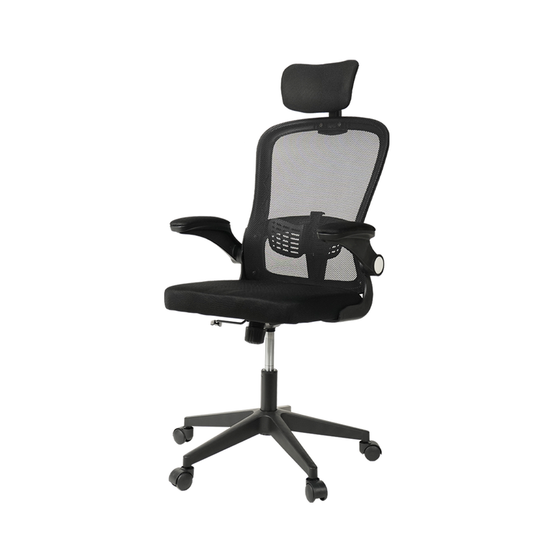 HomeZ Office Chair Ergonomic Chair Executive Mesh High back / Medium Back Chair/with legrest - Black