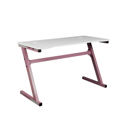 GTGAMEZ 4FT Z Series Matt Surface With Modern Simple E-sports Gaming Table / Gaming Desk - HMZ-GT-LM-12060-ZLZ-BK
